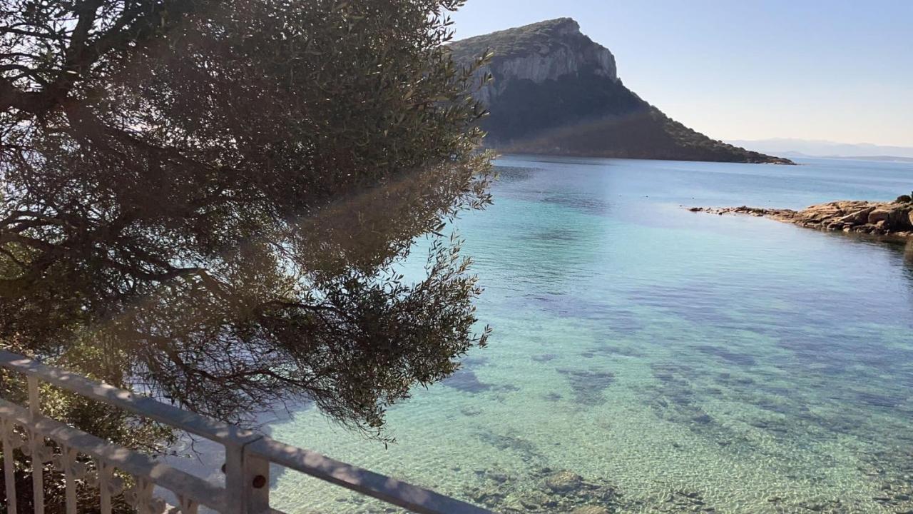 Domus De Diana Bed and Breakfast Olbia Buitenkant foto