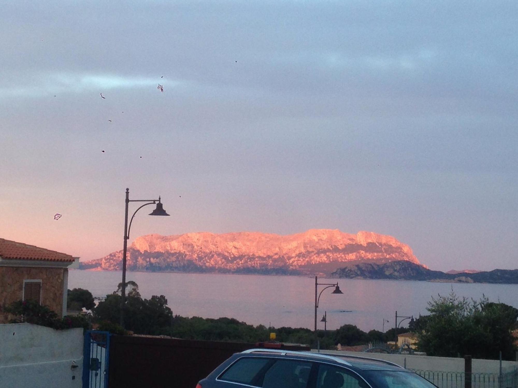Domus De Diana Bed and Breakfast Olbia Buitenkant foto